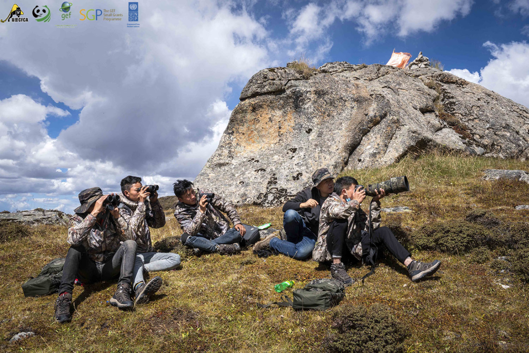  天津女排对阵辽宁女排 